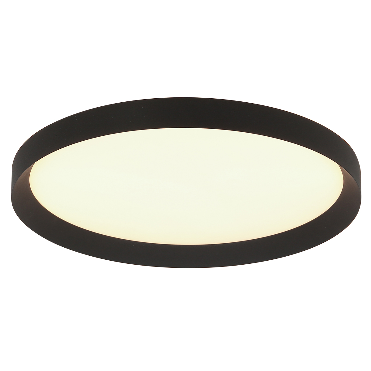 Steinhauer - 3686ZW - Ceiling lamp Flady