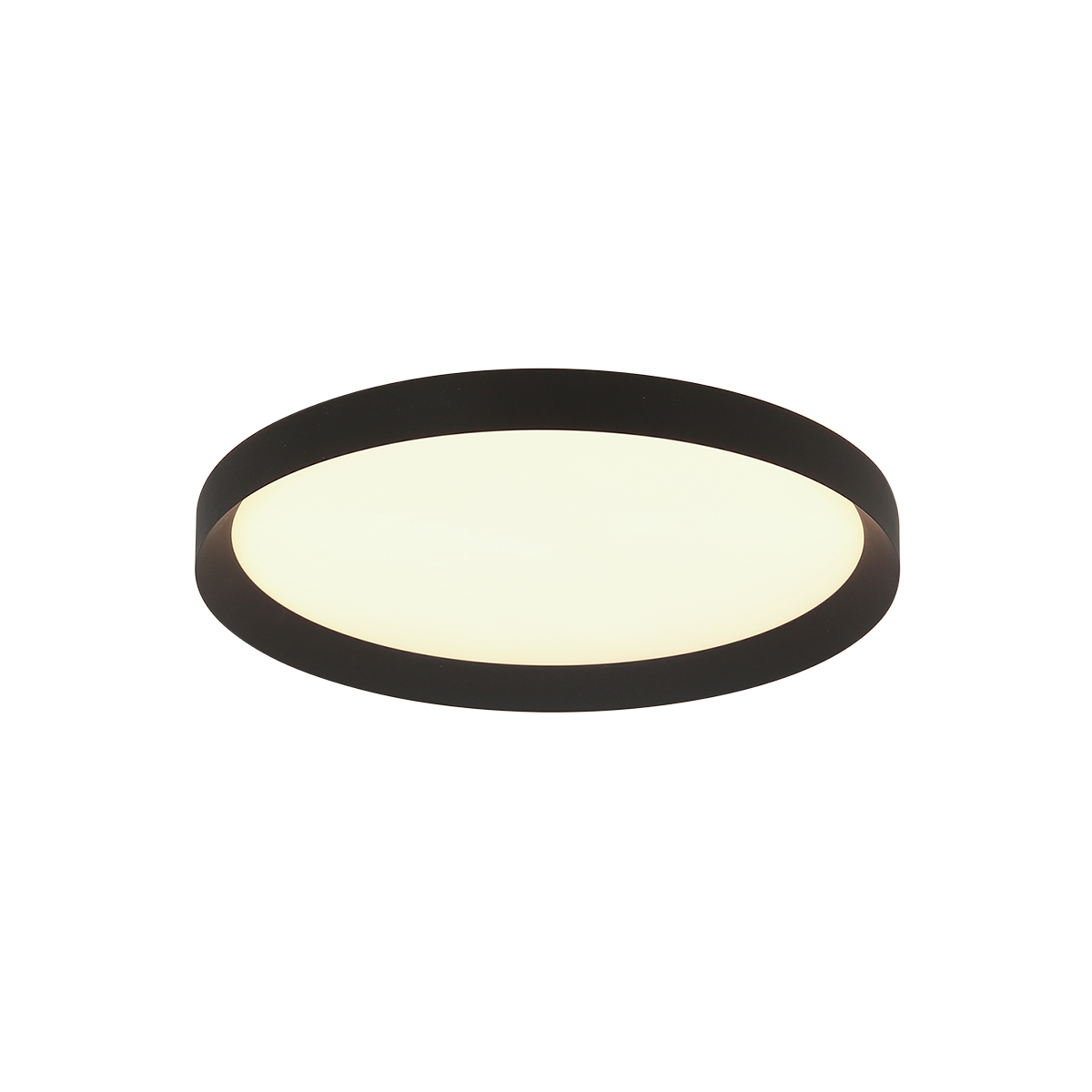 Steinhauer - 4367ZW - Ceiling lamp Flady