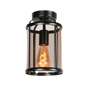 Steinhauer von Steinhauer Deckenleuchte Pimpernel  5973ZW