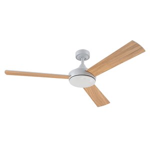 Pilote ceiling fan
