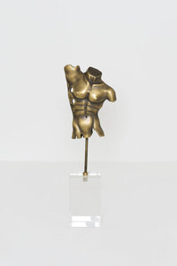 Decorative figure TORSO