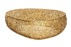 Couchtisch ABSTRACT LEAF von Casa Élite