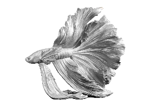 Deko-Fisch CROWNTAIL von Casa Élite