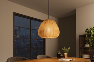 Casa Élite Hängeleuchte, Pendelleuchten & Hängelampen von Casa Élite Pendant lamp ORGANIC  46413