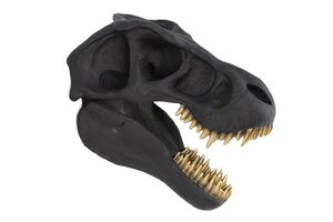 Casa Élite Figuren von Casa Élite Wanddeko-Skulptur T-REX  48059