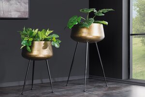 Casa Élite Artikel von Casa Élite Blumentopf FLOWERS  44860