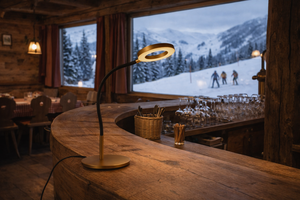 Serie TESSA VON KNAPSTEIN LEUCHTEN von Knapstein Leuchten von Knapstein Leuchten Tischleuchte Tessa 61.631.37