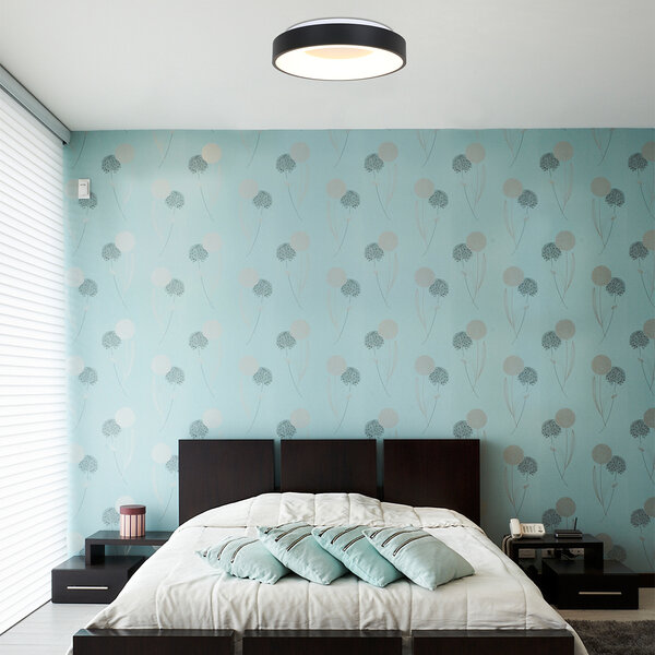 Deckenleuchte Ringlede  der Firma Steinhauer