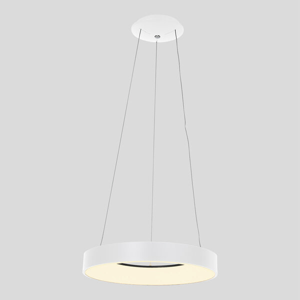 Pendelleuchte Ringlede  der Firma Steinhauer