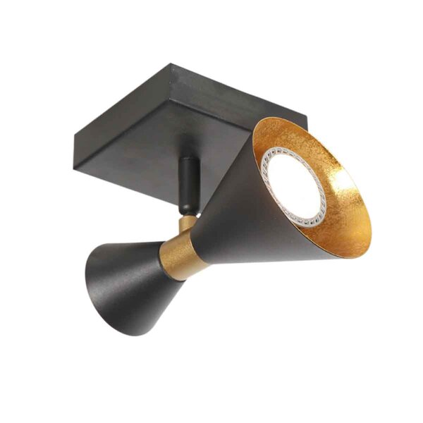 1-Licht-Spot Preto  der Firma Steinhauer