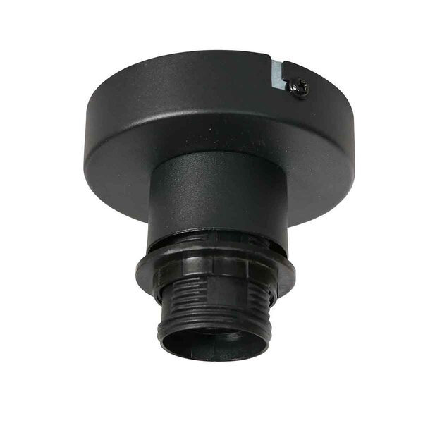 Deckenleuchte Bloeba ohne Lampenschirm der Firma Steinhauer