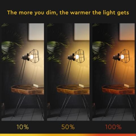 Led Leuchtmittel der Firma Steinhauer