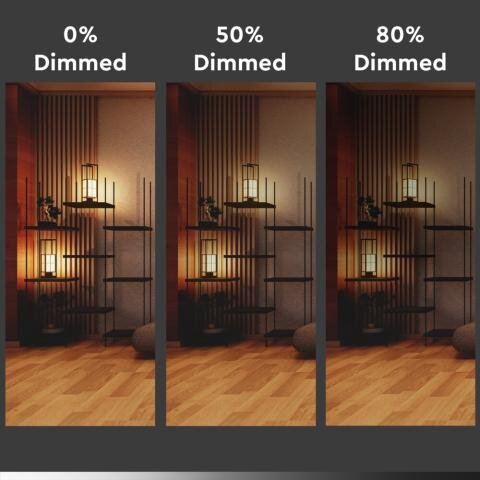 LED-Lichtquelle der Firma Steinhauer