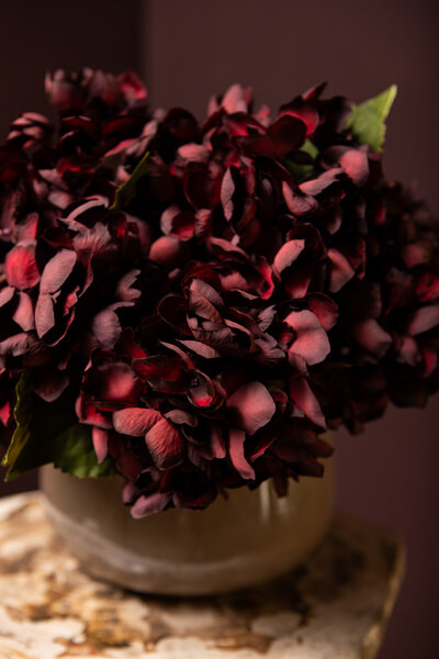Hydrangea Flower Burgundy hydrangea stem small der Firma PTMD