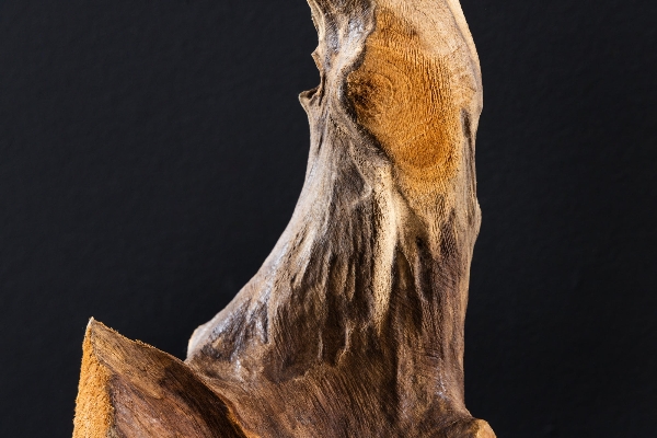 Ornament FLAME der Firma Casa Élite