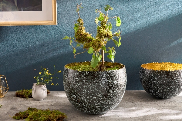 Schale ORIENT der Firma Casa Élite