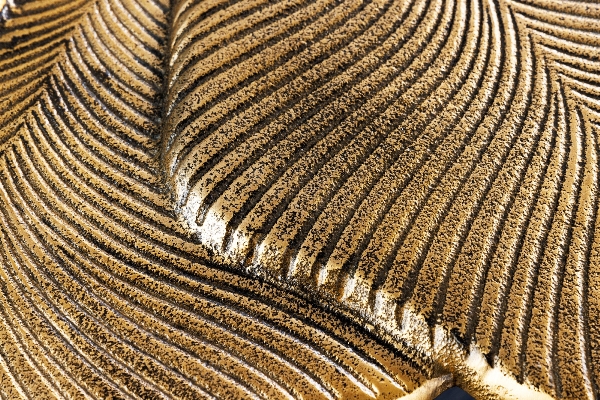 Couchtisch GINKGO LEAVES der Firma Casa Élite