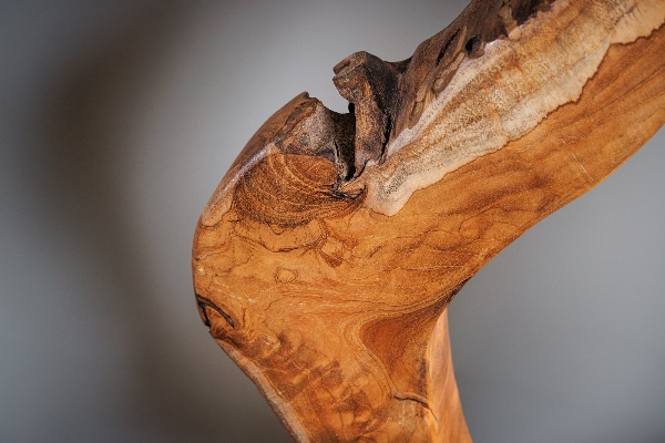 Tischleuchte ORGANIC ARTWORK der Firma Casa Élite