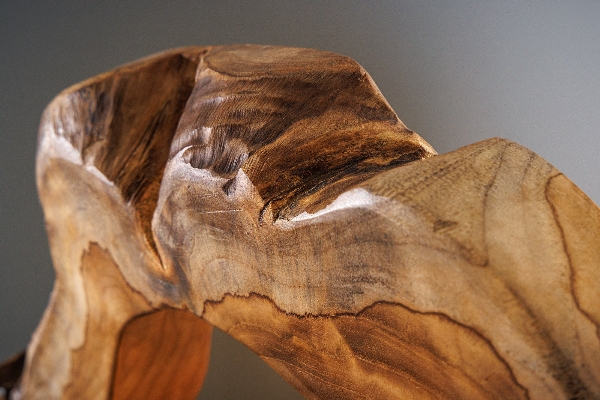 Tischleuchte ORGANIC ARTWORK der Firma Casa Élite