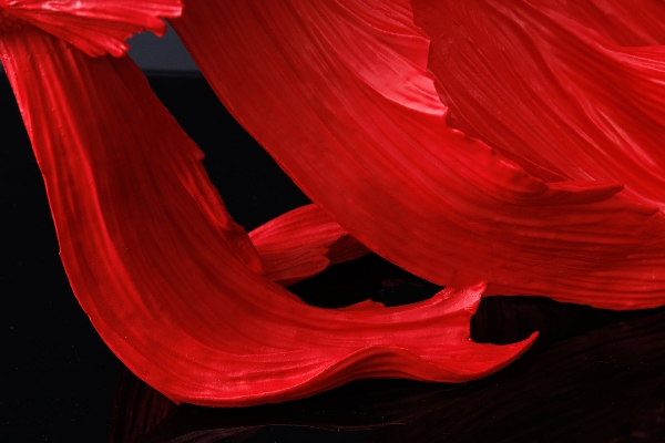 Deko-Fisch CROWNTAIL der Firma Casa Élite