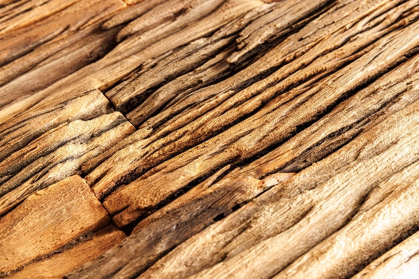 Regal BARRACUDA der Firma Casa Élite