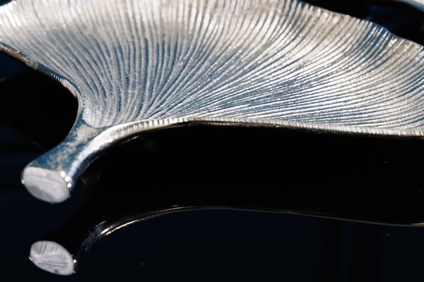 Decoration bowls GINKGO  der Firma Casa Élite