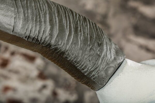 Wanddekoration Schädel EL TORO  der Firma Casa Élite