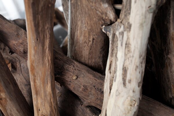 Couchtisch NATURE LOUNGE  der Firma Casa Élite