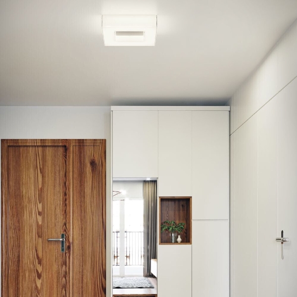 Cosi / Wandleuchte / Deckenleuchte der Firma Helestra Leuchten